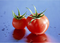 Chinese Xinjiang tomatos