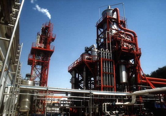 Our Tomato Paste Production Line