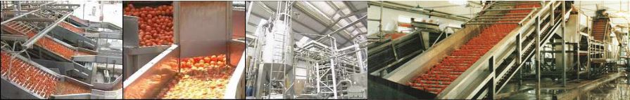 Our Tomato Paste Production Line