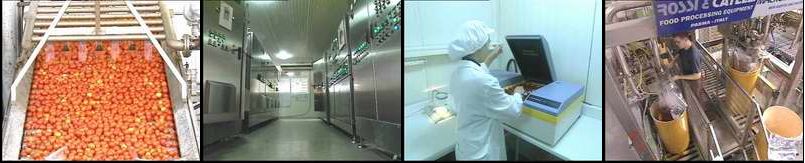 Our Tomato Paste Production Line